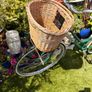 womens  bike Image 3