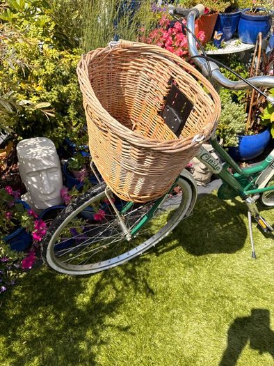 womens  bike