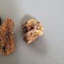 Baltic amber specimens Image 3