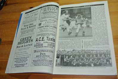 Hogan Stand - 1995 - G.A.A. Annual (GAA)