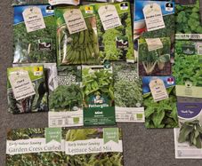 Plant Seeds Free to Share