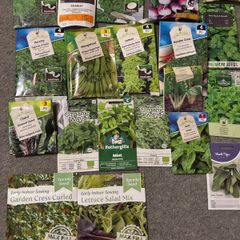 Plant Seeds Free to Share