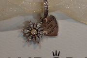 Pandora charm