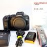 Canon Eos R6 Mirrorless Camera #0355 Image 2