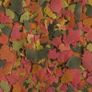 Tetra TetraMin Flakes 1000ml Image 2