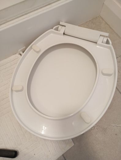 white toilet seat