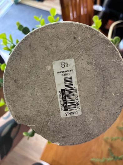 Bundle of 5 Artificial Trailing Plants (IKEA Fejka & Dunnes Stores)