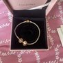 pandora charm bracelet with 2 charms included Image 2