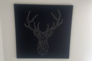 canvas