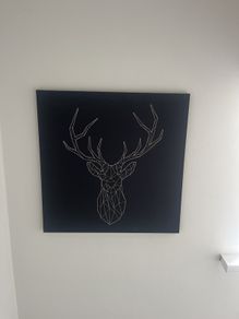 canvas