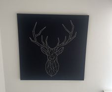 canvas
