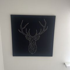 canvas