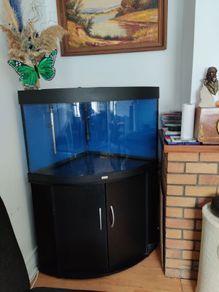 JUWEL Trigon 190 Ugh Corner Aquarium and Cabinet Fish Tank Full Set Sunsun Filter