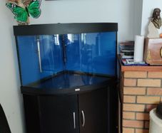 JUWEL Trigon 190 Ugh Corner Aquarium and Cabinet Fish Tank Full Set Sunsun Filter