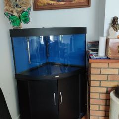 JUWEL Trigon 190 Ugh Corner Aquarium and Cabinet Fish Tank Full Set Sunsun Filter