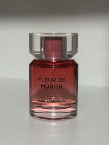 Karl Lagerfeld Perfume