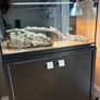 reptile set up Image 2