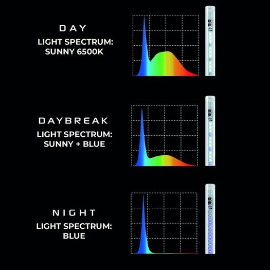 Aquael LEDDY Tube Day&Night 10W Sunny 41,5 cm