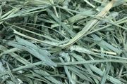 Premium Quality Timothy Hay for Small Animals  (Small)