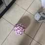 2 soccer balls Image 4