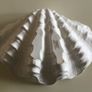 China -  Large Wedgewood Shell. Image 3