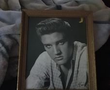 elvis picture