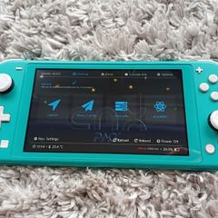 Animal Crossing Limited Edition Switch Lite (PRISTINE CONDITION! + Jailbreak + 128GB + Screen Protector)