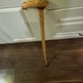 Walking stick Image 7