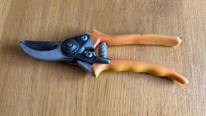 Secateurs