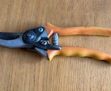Secateurs