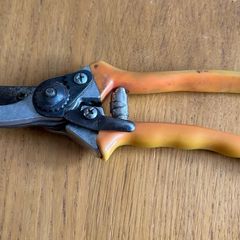 Secateurs