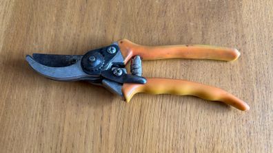 Secateurs