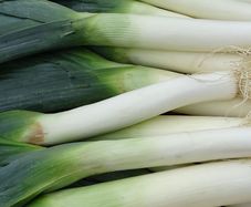 (L) Leek Jolant seeds 0.4g (122677)