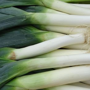 (L) Leek Jolant seeds 0.4g (122677)