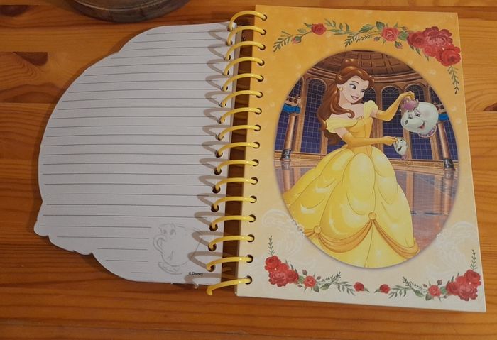 Beauty & the Beast Rose Dome and Belle Notebook