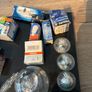 bulbs Image 5