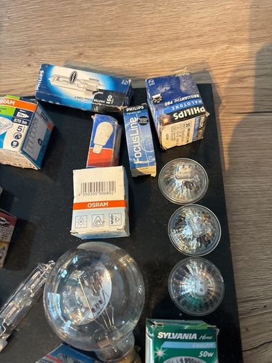 bulbs
