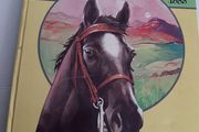 Black beauty vintage 1985 annual