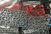 Combat patrol 85 and 87