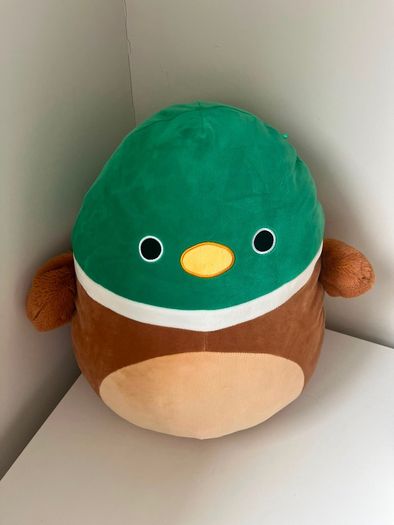 Election of soft toys