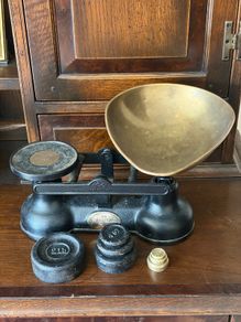 the salter weighting scale