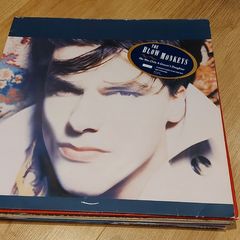 The Blow Monkeys - She Was Only A Grocers Daughter  - Vinyl Record