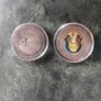 Nasa coins Image 2