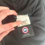 Canada goose hybridge Image 3