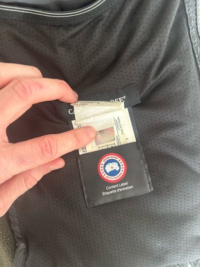 Canada goose hybridge