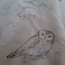 new accessorize scarf with Owl design tag attached Image 3