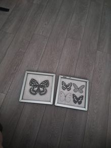 picture frames