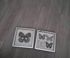 picture frames