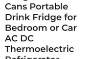 Mini Fridge