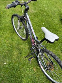 Procycle Venus 24 Bicycle